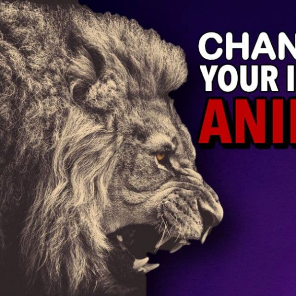 Channel Your Inner Animal & Optimize Your Life For True Happiness